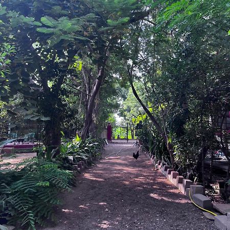 Sharad Baug Homestay 부지 외부 사진