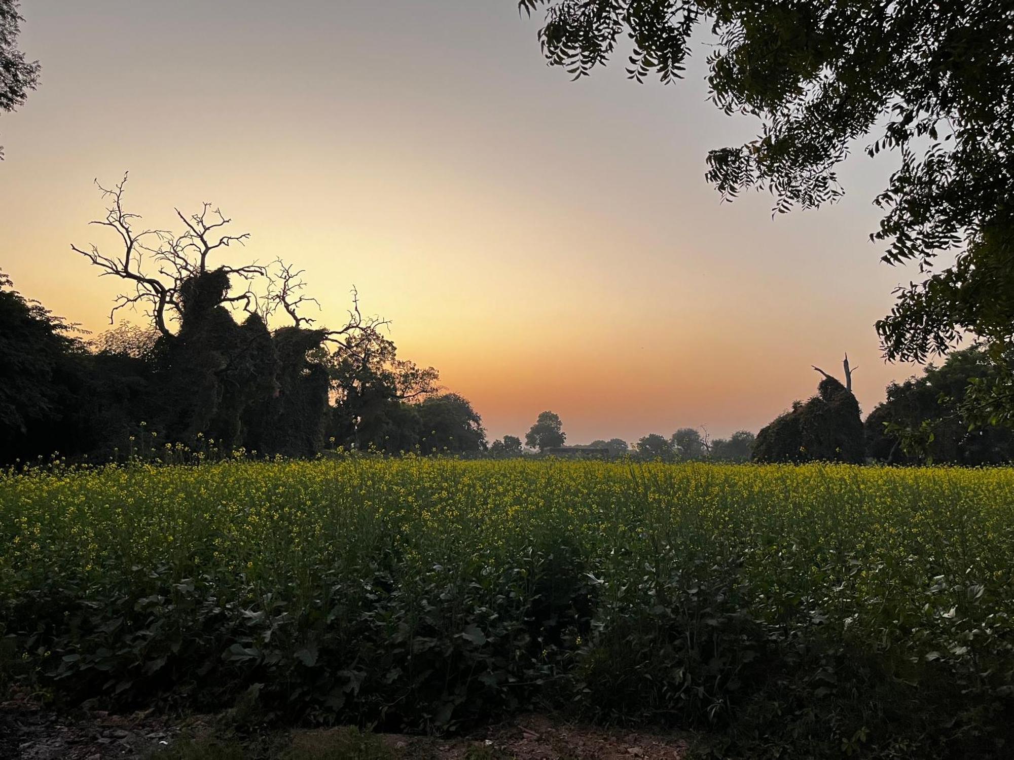 Sharad Baug Homestay 부지 외부 사진