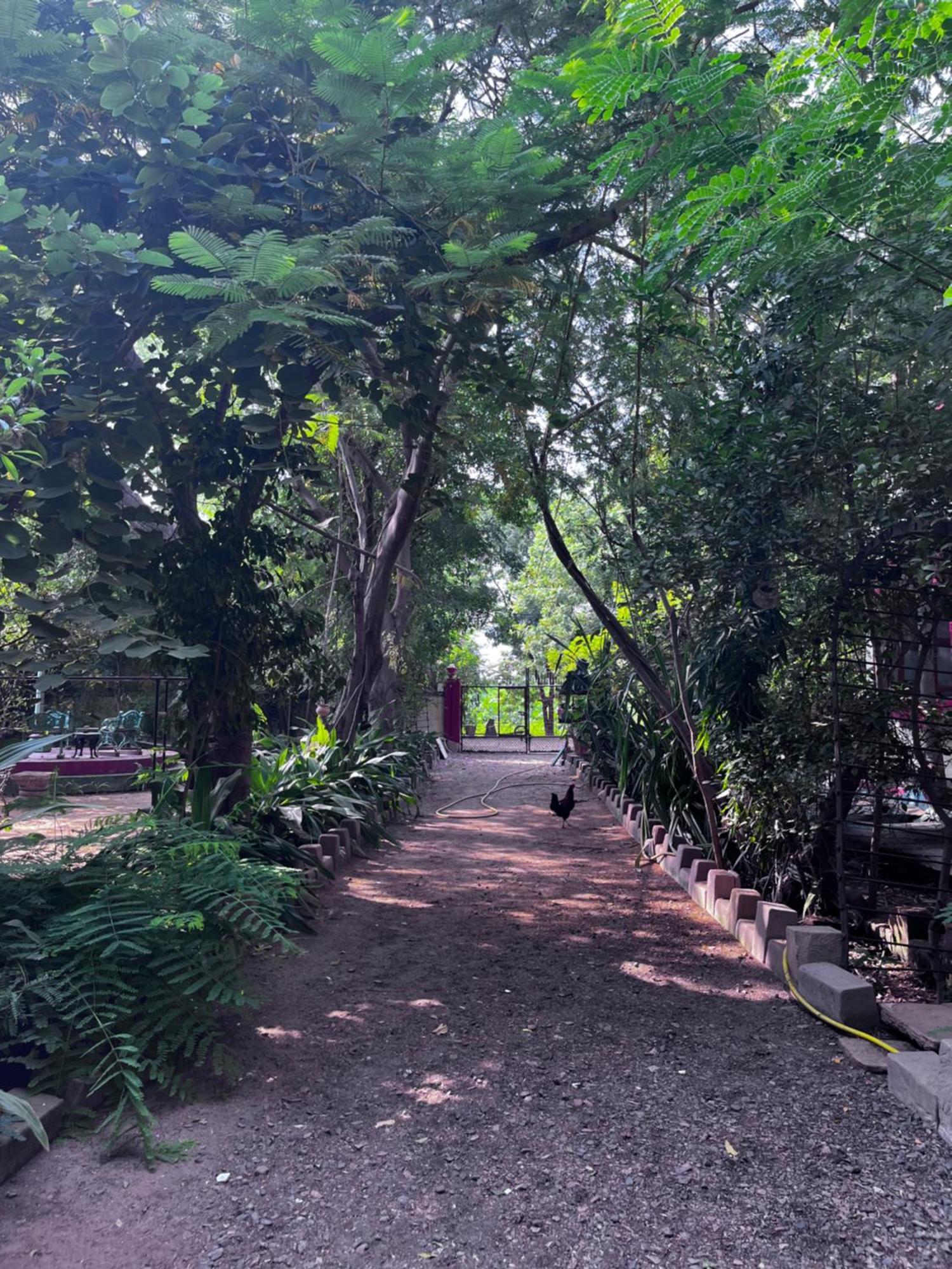 Sharad Baug Homestay 부지 외부 사진