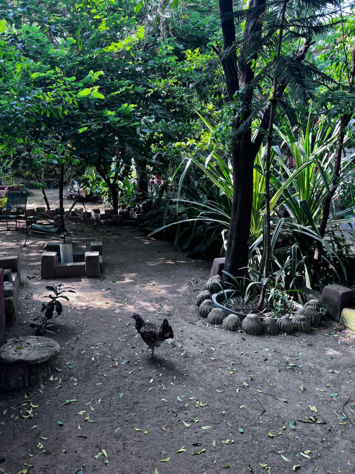 Sharad Baug Homestay 부지 외부 사진